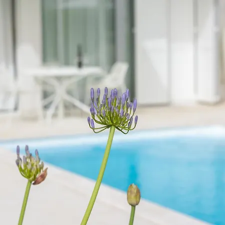 25 Apartment Petrčane