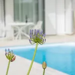 25 Apartman Petrcane