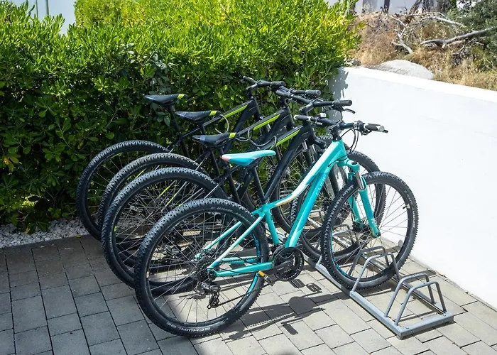 25 돈제페트레케인