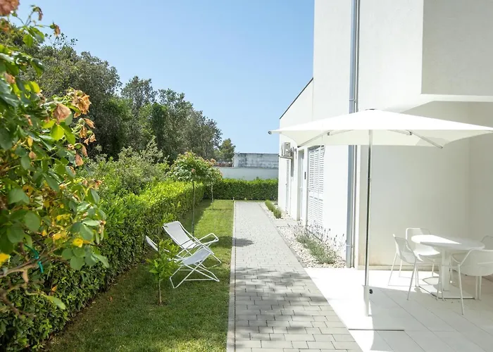 25 돈제페트레케인