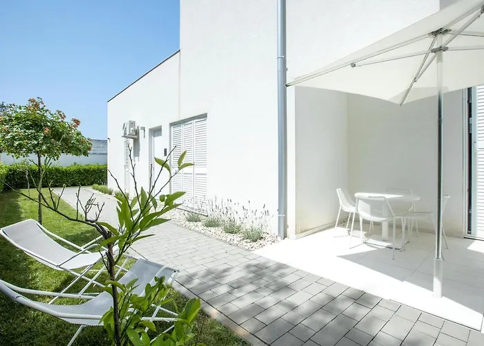 25 * 돈제페트레케인