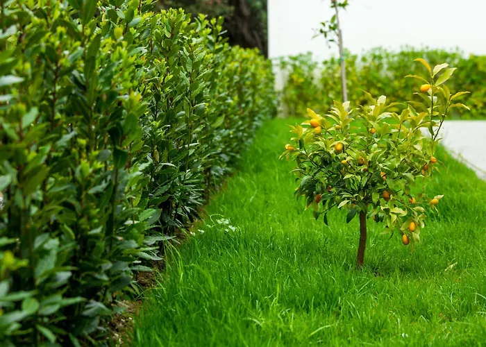 Апартаменты 25 Петрчане