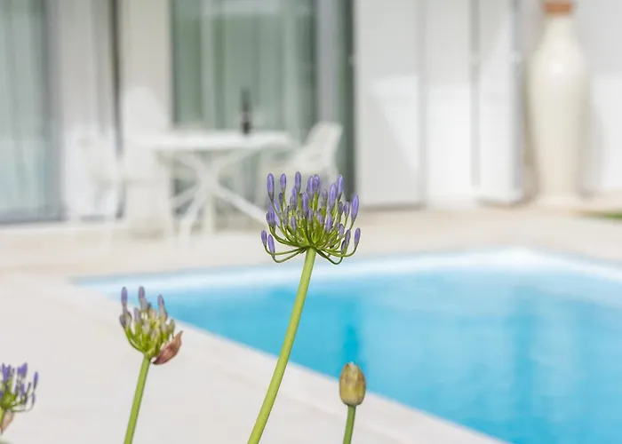 25 Apartamento Petrčane