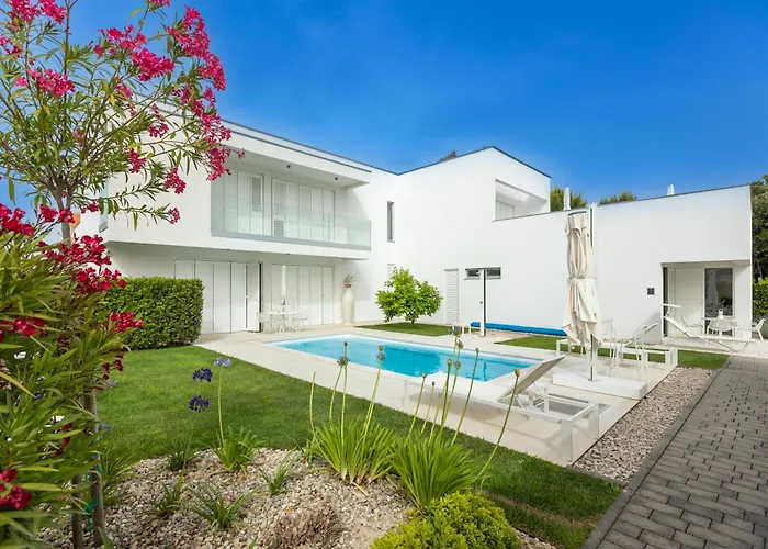 25 * 돈제페트레케인