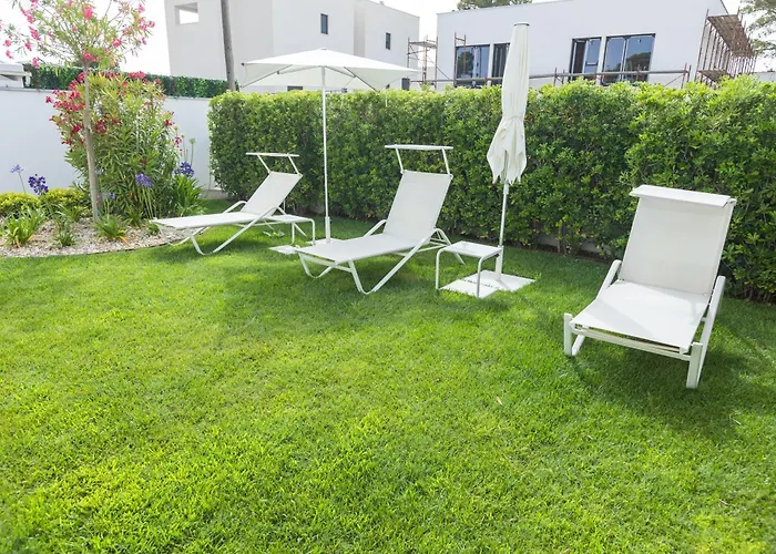 25 돈제페트레케인