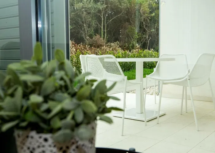 25 돈제페트레케인